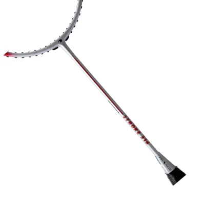 vợt cầu lông Proace Stroke 316