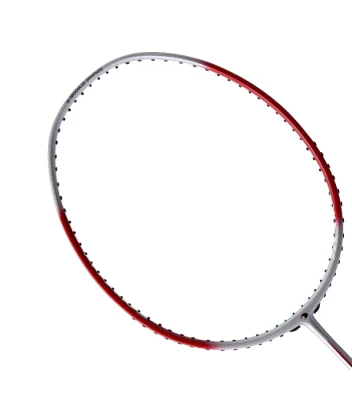 Vợt cầu lông Proace Stroke 316