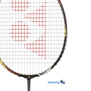 Vợt Yonex Voltric LD Force phù hợp với tệp người chơi thiên công