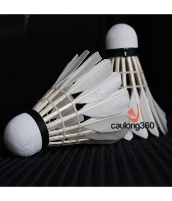 Quả cầu lông sunbatta shuttlecock su90 - quả cầu 