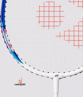 Vợt cầu lông Yonex B6500 I