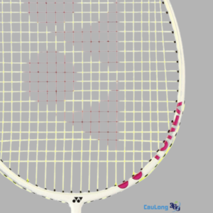 Review thực tế Isometric TR1
