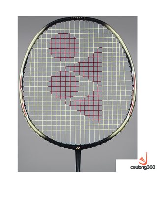 Vợt Cầu Lông Yonex ARC 001 Pro