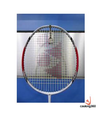 Vợt Cầu Lông Yonex Arcsaber D19