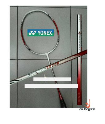 Vợt Cầu Lông Yonex Arcsaber D19