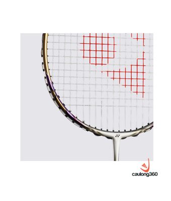 Vợt cầu lông Yonex Z Force LTD