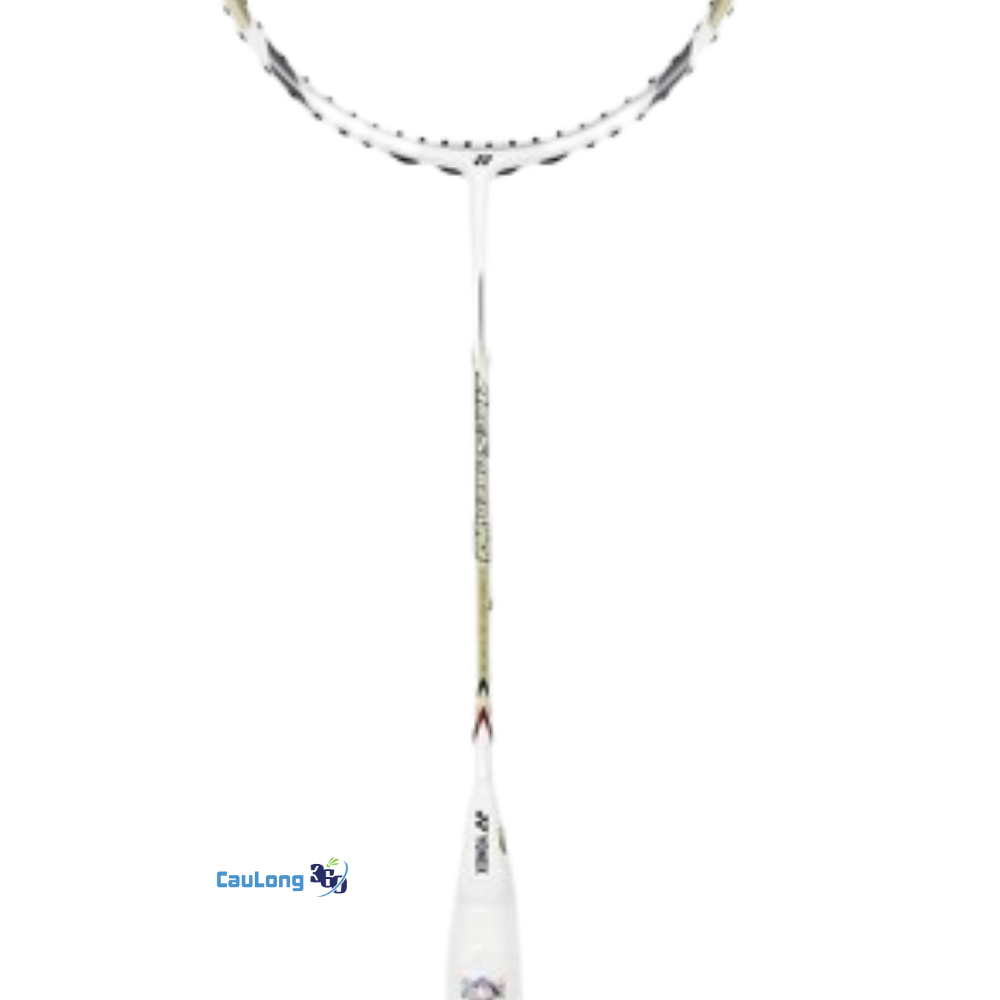 Đánh giá thực tế vợt Arc 100 TF