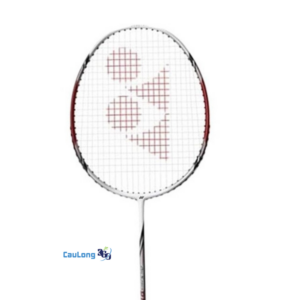 Review thực tế vợt Arc D19