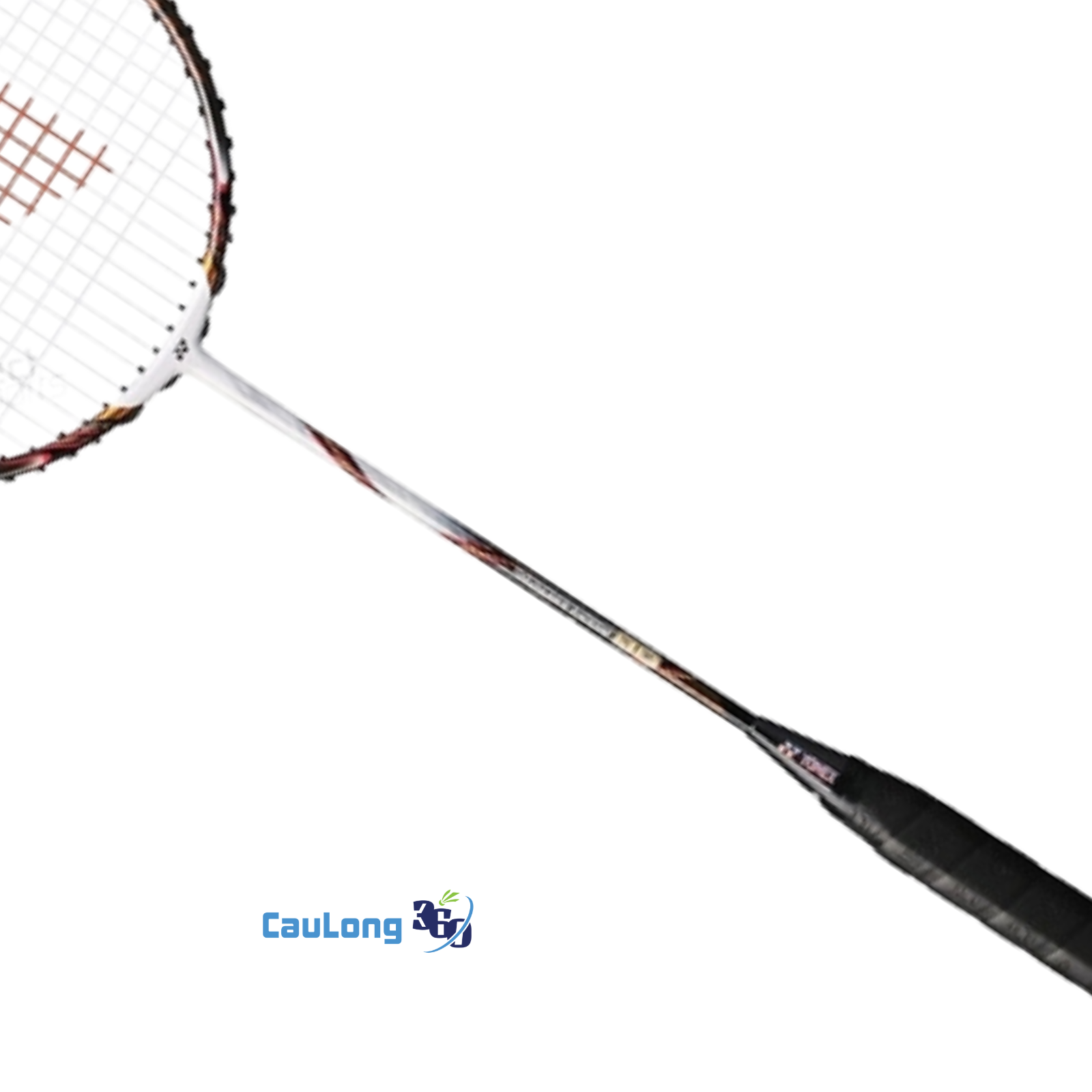 Thông số kỹ thuật của Voltric 80