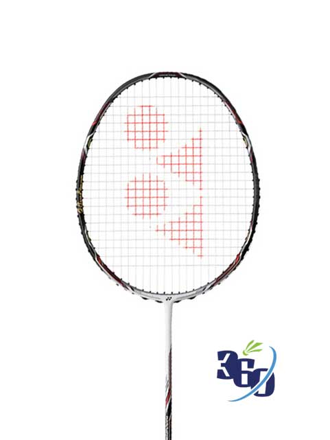 YONEX ナノレイ900 ブルーラケット ヨネックス - 国内アーティスト