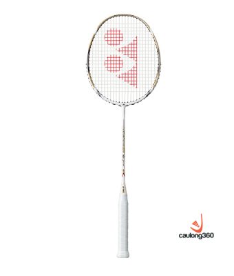 Vợt cầu lông Yonex ARC 10 Legend