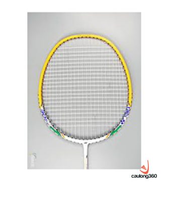 Vợt cầu lông Yonex Nanoray light 11i