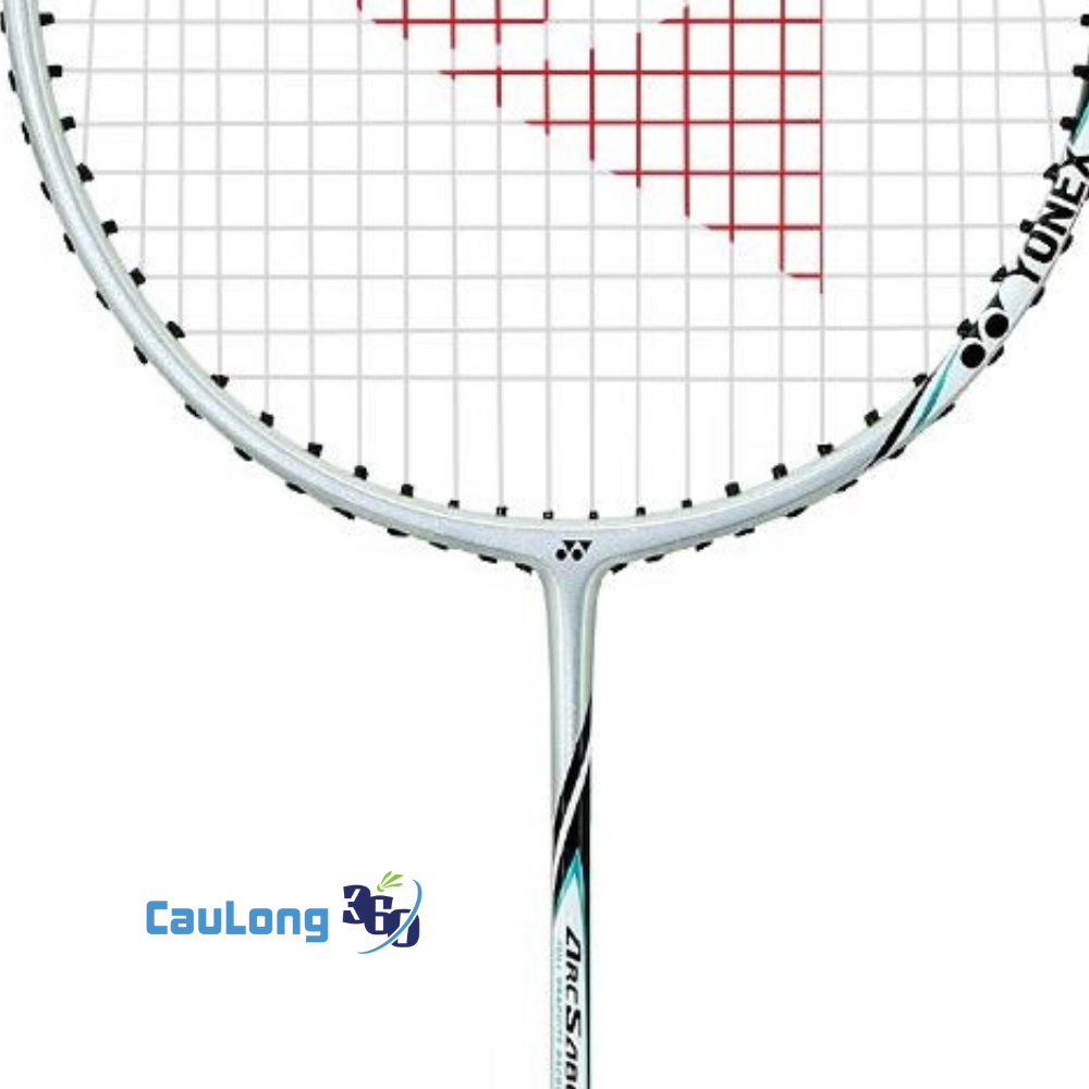 Thông số kỹ thuật của Arcsaber Light 6i