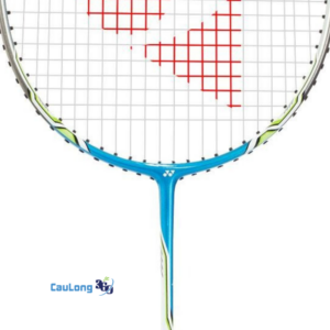 Thông số kỹ thuật của vợt Nanoray D22