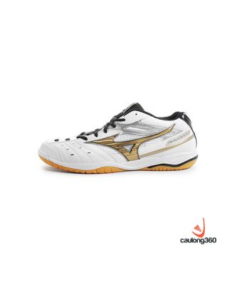 Mizuno wave clearance gate 2