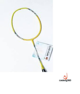 Vợt Cầu Lông Yonex ArcSaber Light 10i