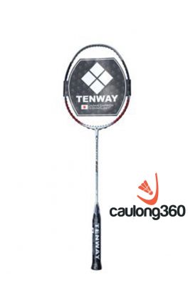 Vợt Cầu Lông Tenway Power Tec 1000