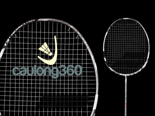 Vợt Cầu Lông Babolat Satelite 6.5 Power 