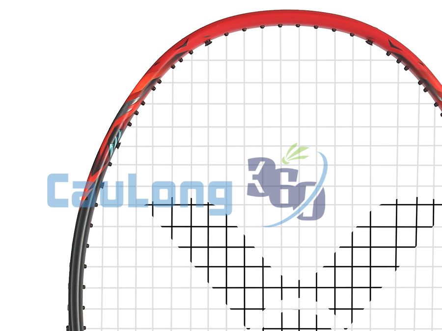 Vợt Victor Ryuga TD