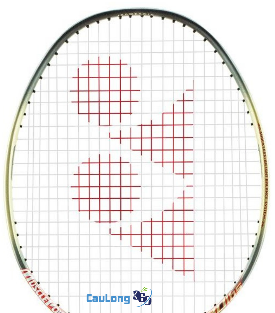 Thông số kỹ thuật của Muscle Power 55 Light