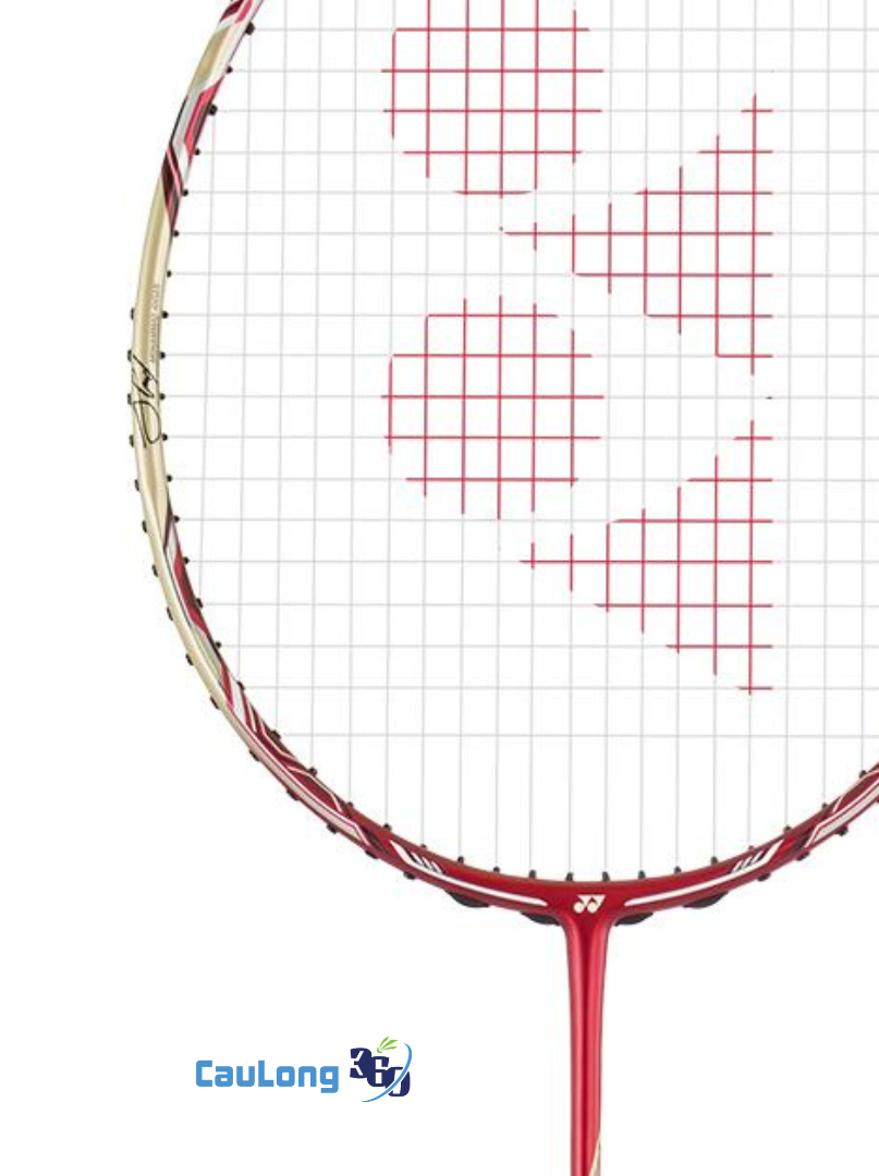 Thông số kỹ thuật của Nanoray 900AH