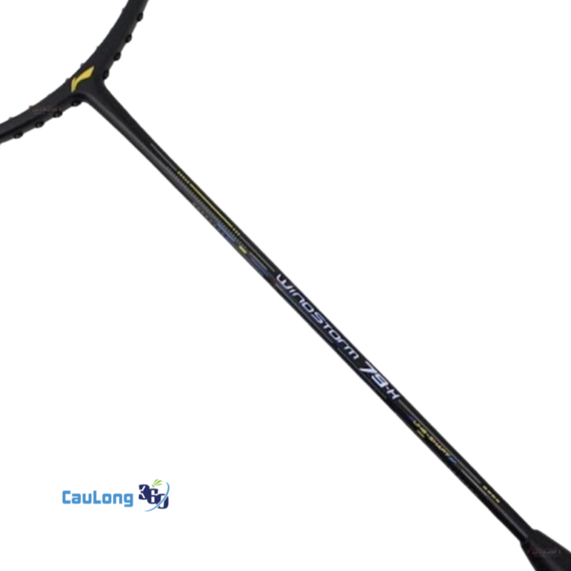 Lining Windstorm 79H