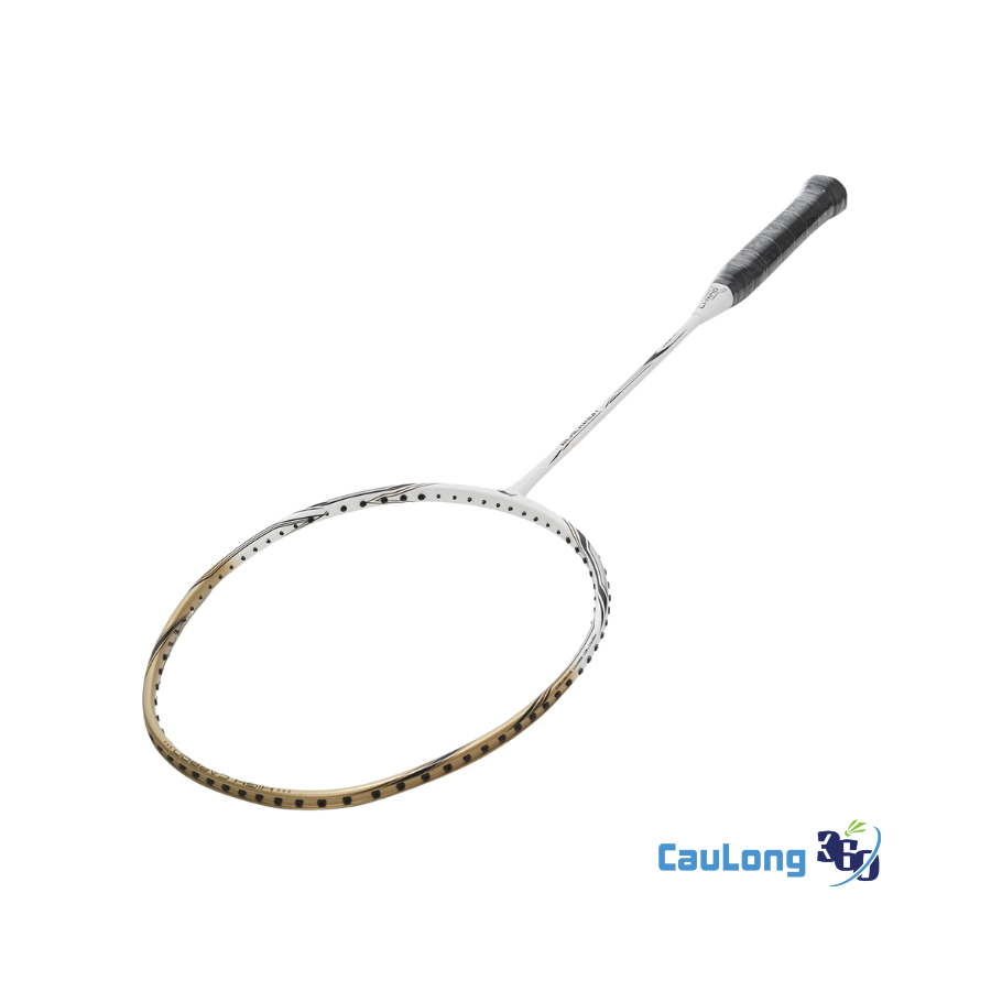 Vợt cầu lông Lining Black Iron (1)