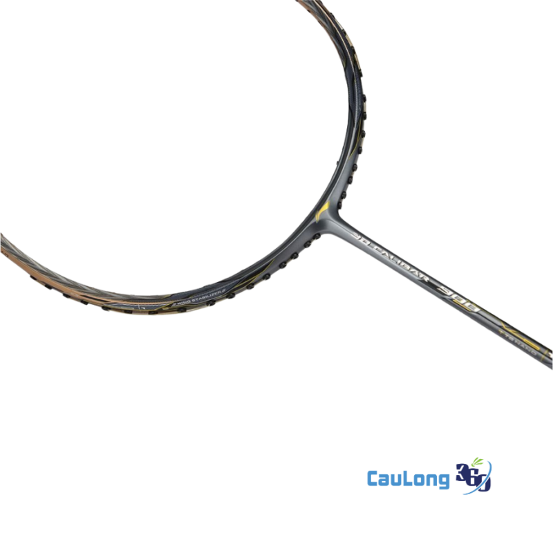 Lining 3D Calibar 900