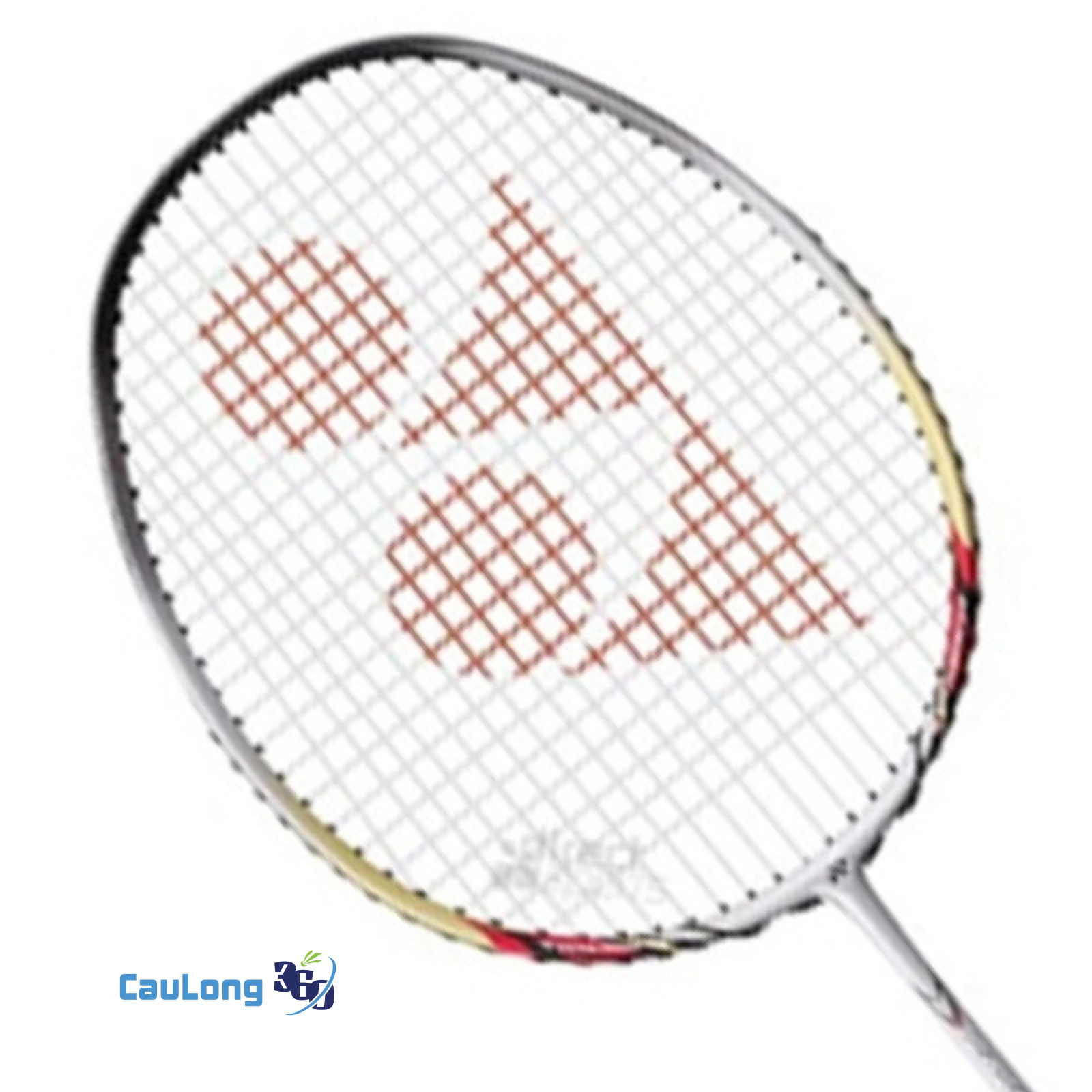 Các thông số của Nanospeed 500