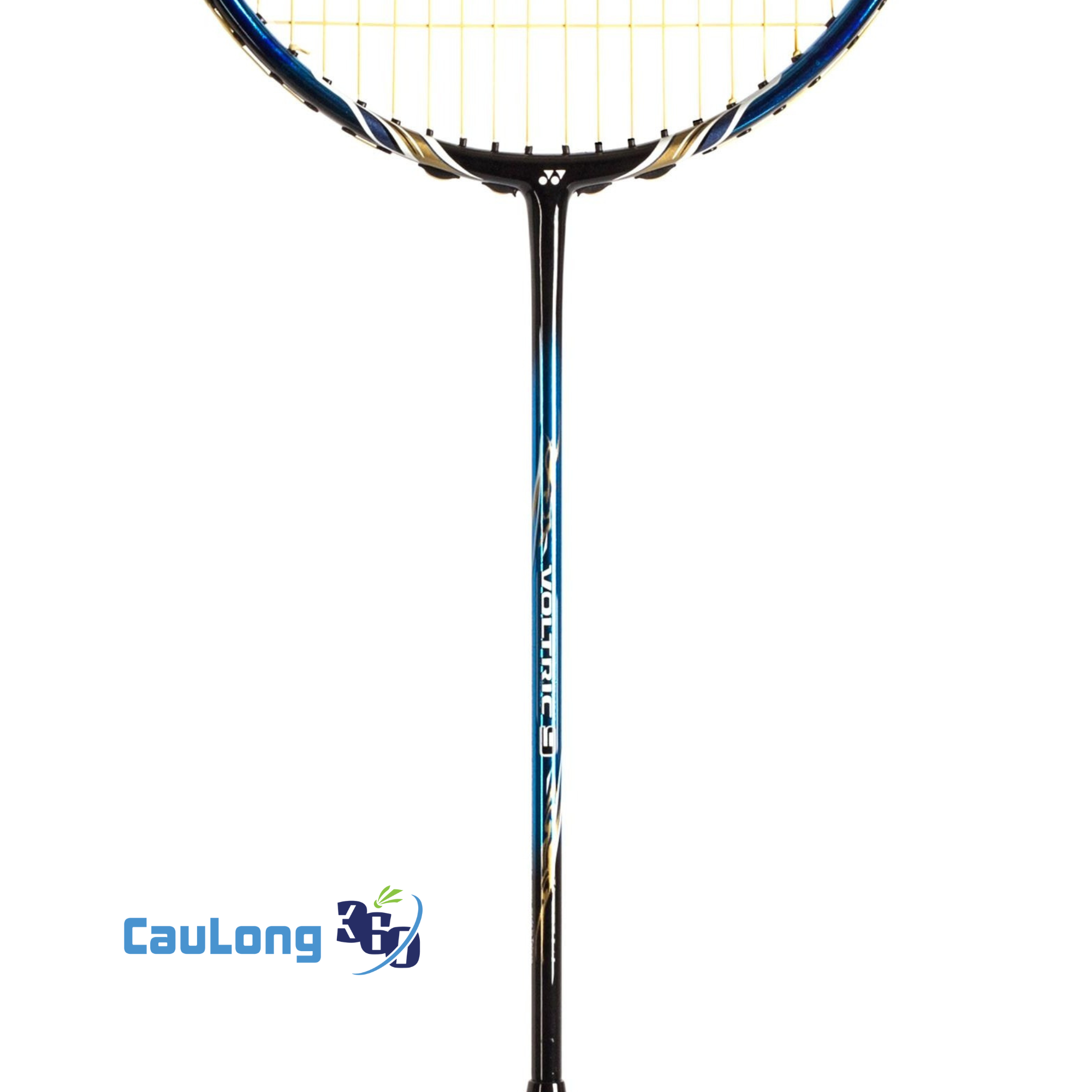 Yonex Voltric 9 phù hợp với người chơi thiên công