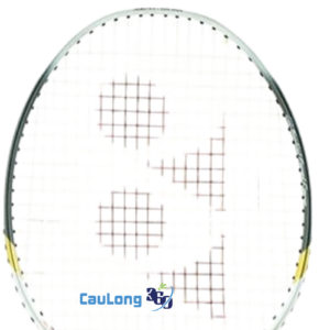 Hệ thống lỗ gen kiểu mới