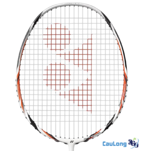 Hệ thống lỗ gen kiểu mới