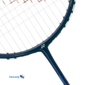 Vợt Astrox 00 rất phù hợp với người chơi nữ thích lối đánh mạnh, nhanh