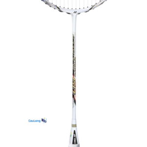 Nanoray 60 phù hợp với lối chơi công thủ toàn diện