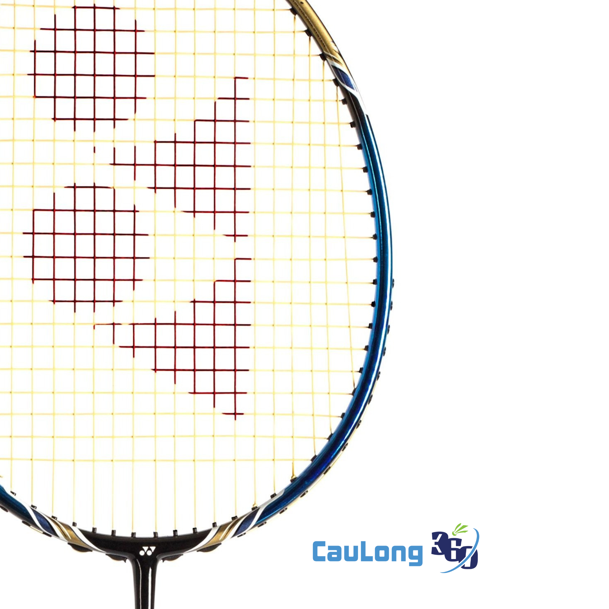 Thông số nổi bật của Voltric 9