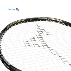 Công nghệ tích hợp trên vợt Mizuno Fortius 10 BDSS